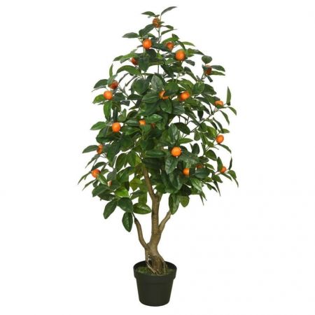 Table Orange Plant with nursery cover